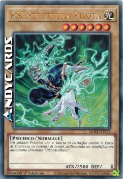 PSI-STRUTTURA PILOTA