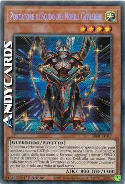 Portatore di Scudo del Nobile Cavaliere