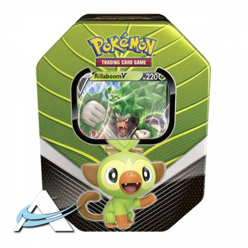 Tin Compagni d’avventura di Galar, Rillaboom-V - IT