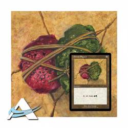 Secret Lair Drop Series, Dan Frazier Is Back: The Allied Signets - EN