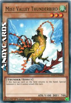 UCCELLO DI TUONO DELLA VALLE DELLE NEBBIE