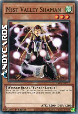 SCIAMANO DELLA VALLE DELLE NEBBIE