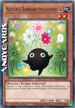 NATURIA BARBABIETOLACOSMICA
