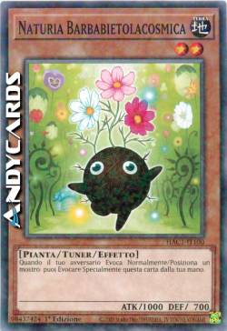 NATURIA BARBABIETOLACOSMICA
