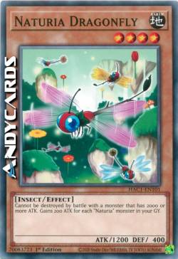 NATURIA LIBELLULA