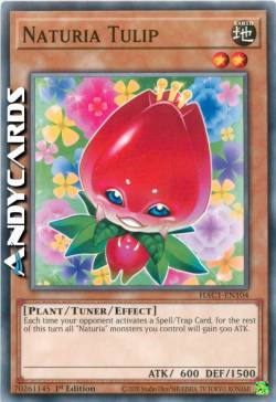 NATURIA TULIPANO