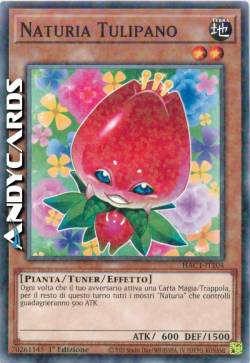NATURIA TULIPANO