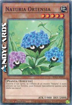 NATURIA ORTENSIA