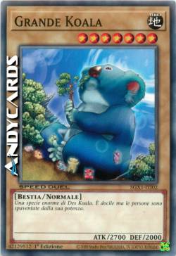 GRANDE KOALA