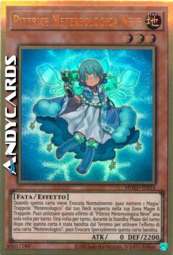 PITTRICE METEREOLOGICA NEVE