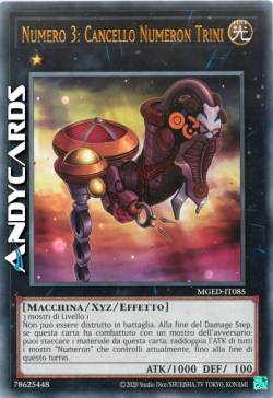 NUMERO 3: CANCELLO NUMERON TRINI