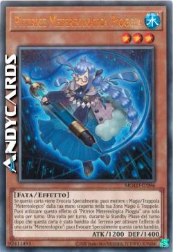 PITTRICE METEREOLOGICA PIOGGIA