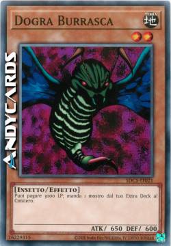 DOGRA BURRASCA