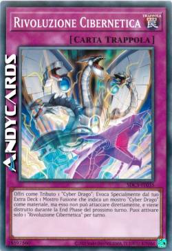 RIVOLUZIONE CIBERNETICA