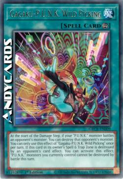 Gagaku-P.U.N.K. Pizzicato Selvaggio