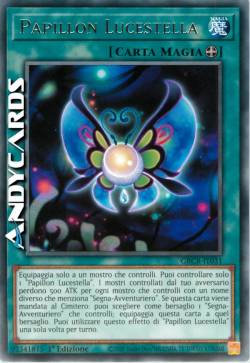 Papillon Lucestella