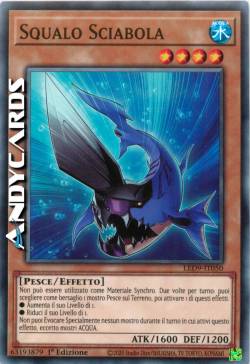SQUALO SCIABOLA