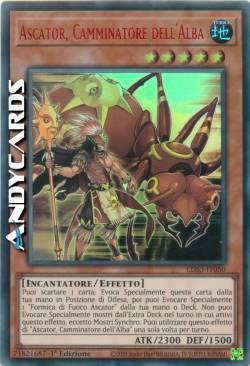 ASCATOR, CAMMINATORE DELL'ALBA