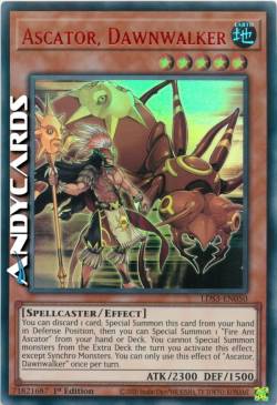 ASCATOR, CAMMINATORE DELL'ALBA