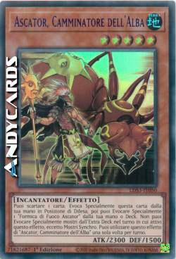 ASCATOR, CAMMINATORE DELL'ALBA