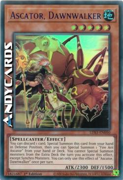 ASCATOR, CAMMINATORE DELL'ALBA