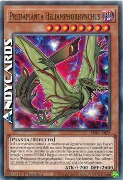 PREDAPLANT HELIAMPHORHYNCHUS