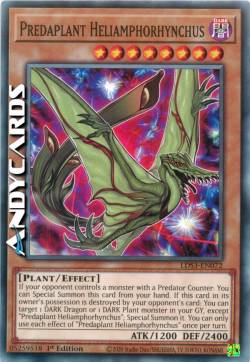 PREDAPIANTA HELIAMPHORHYNCHUS