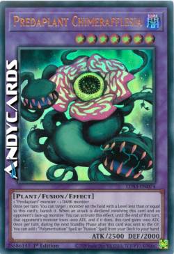 PREDAPIANTA CHIMERAFFLESIA