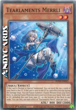 Tiaracrimalamenti Merrli