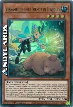 Vernasilfide delle Foreste in Risveglio