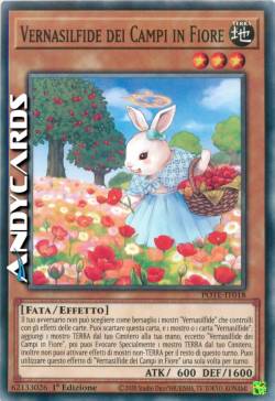 Vernasilfide dei Campi in Fiore