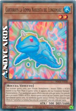 Cartorhyn la Gemma Nascosta del Lungomare