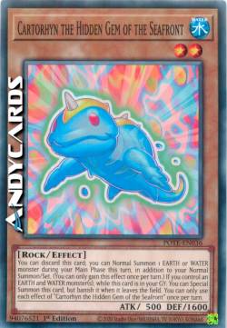 Cartorhyn la Gemma Nascosta del Lungomare