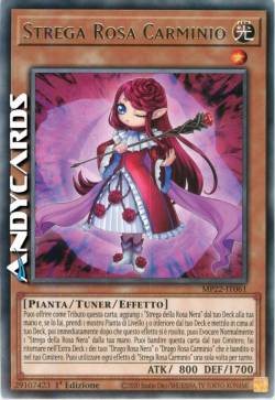STREGA ROSA CARMINIO