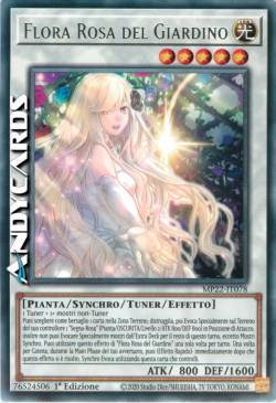 FLORA ROSA DEL GIARDINO