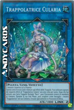 TRAPPOLATRICE CULARIA