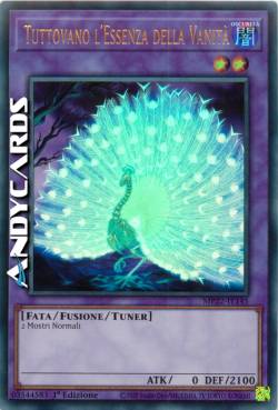 Tuttovano l'Essenza della Vanità