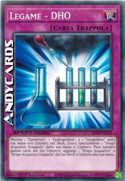 LEGAME - DHO