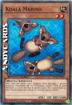 KOALA MARINO