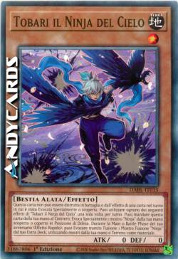 Tobari il Ninja del Cielo