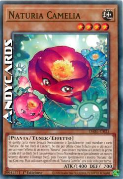 Naturia Camelia
