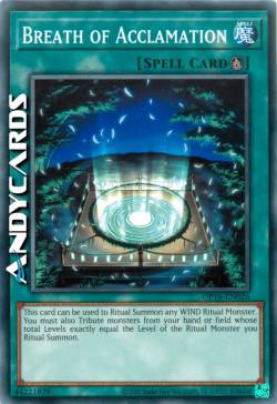 RESPIRO DI ACCLAMAZIONE