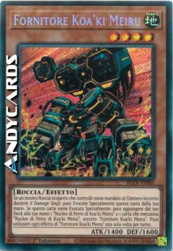 FORNITORE KOA'KI MEIRU