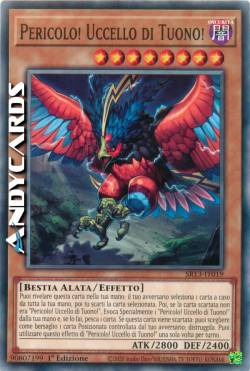 PERICOLO! UCCELLO DI TUONO!