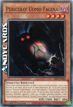 PERICOLO! UOMO FALENA!