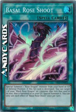 VIRGULTO ROSA BASALE