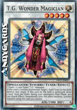 T.G. MAGA MERAVIGLIOSA