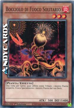 BOCCIOLO DI FUOCO SOLITARIO