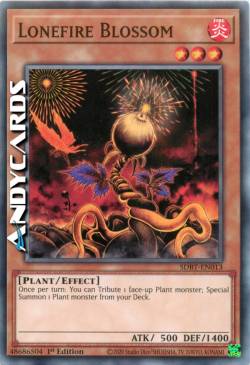 BOCCIOLO DI FUOCO SOLITARIO