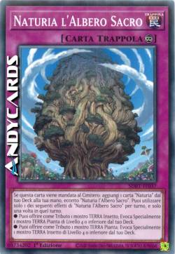 NATURIA L'ALBERO SACRO
